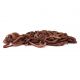Worms, Dendrobaena