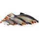 Westin Ricky The Roach Shadtail Lure 14cm - Headlight