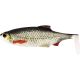 Westin Ricky The Roach Shadtail Lure 14cm - Real Roach