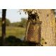 Korda Compac Air Dry Bag