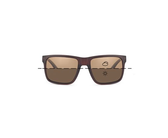 Fortis Sunglasses Bays - Switch