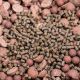 Mainline Response Carp Pellet 5mm - 1kg