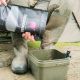 Mainline Response Carp Pellet 5mm - 1kg