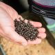 Mainline Response Carp Pellet 5mm - 5kg