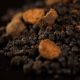 Sticky Baits Trouties Mixed Sized Pellets - 2.5kg