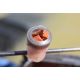 Dynamite Baits Robin Red Luncheon Meat