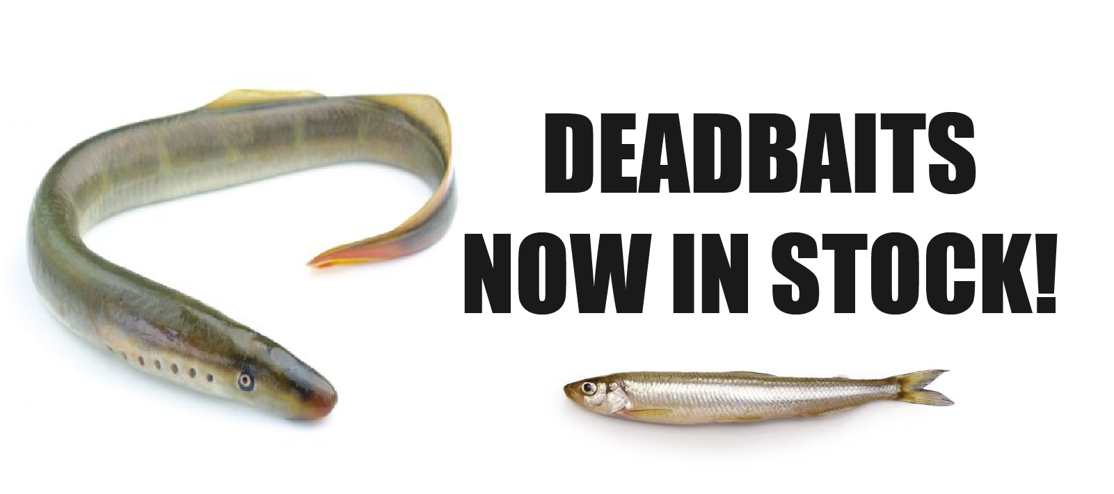 Deadbaits