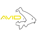 Avid Carp